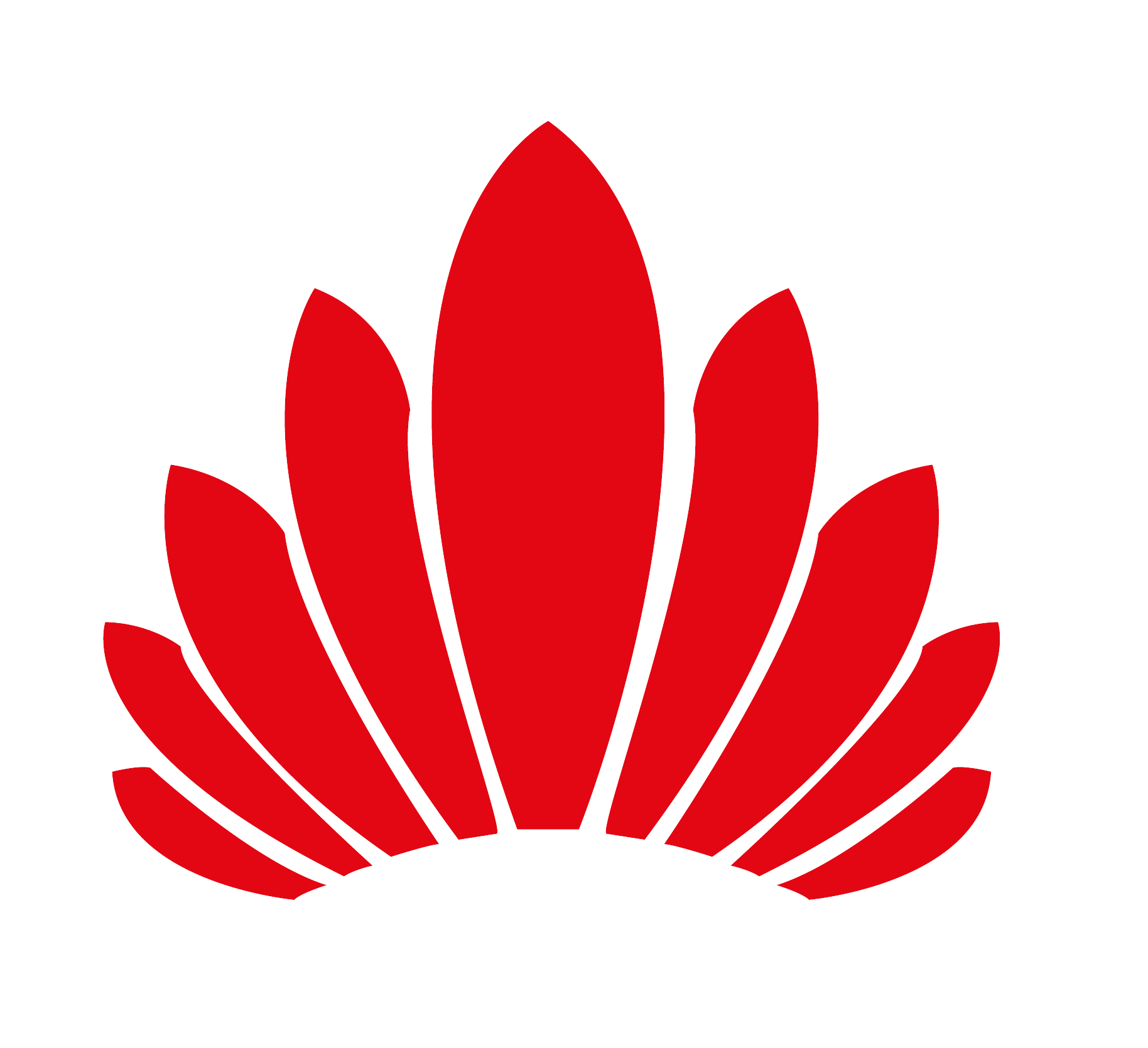 Logo BRUMIER